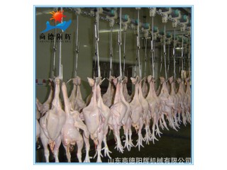 家禽屠宰流水線 鴿子屠宰設備 全自動屠宰流水線