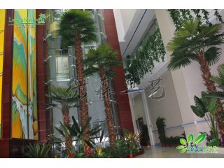 仿真棕櫚樹   廠家直銷   沈陽仿真植物生產廠家
