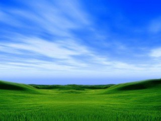 2024天津航運產業展覽會|2024天津航運展