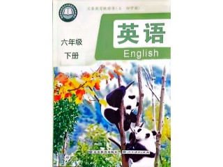 2025魯教版(五·四制)六年級下冊